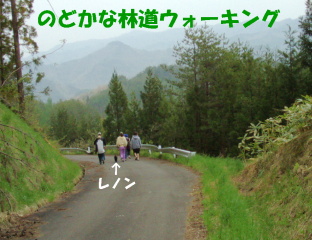 a0009750_134838.jpg