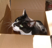 a0011999_194816.jpg