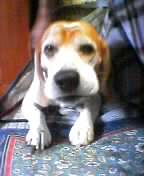 a0013905_000.jpg