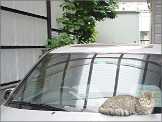 a0009835_232926.jpg