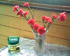 a0020929_223545.jpg