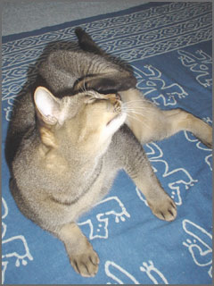a0009835_12730.jpg