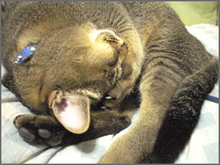 a0009835_14631.jpg