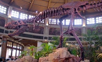 a0012575_20174.jpg