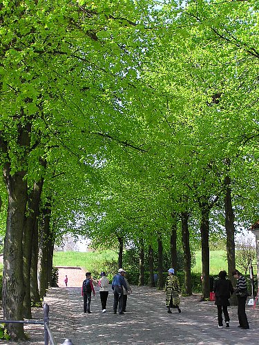 a0021009_11460.jpg