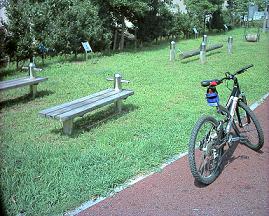 a0003784_103640.jpg