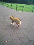 a0021110_21368.jpg