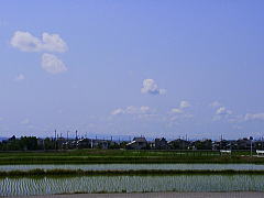 a0009747_20341.jpg