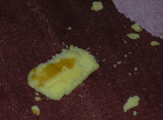 a0021608_3553.gif