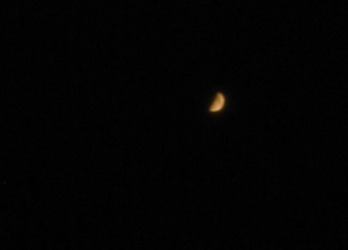 a0010194_04954.jpg
