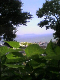 a0021110_101052.jpg