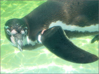 a0009835_211521.jpg