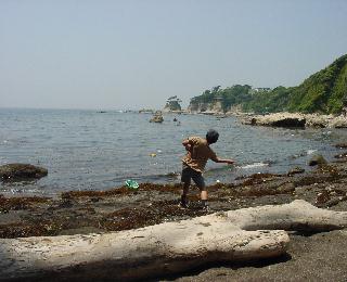 a0003150_20828.jpg