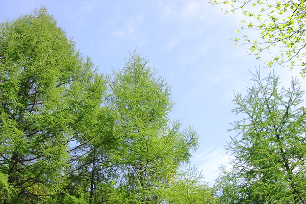 a0023460_233948.jpg