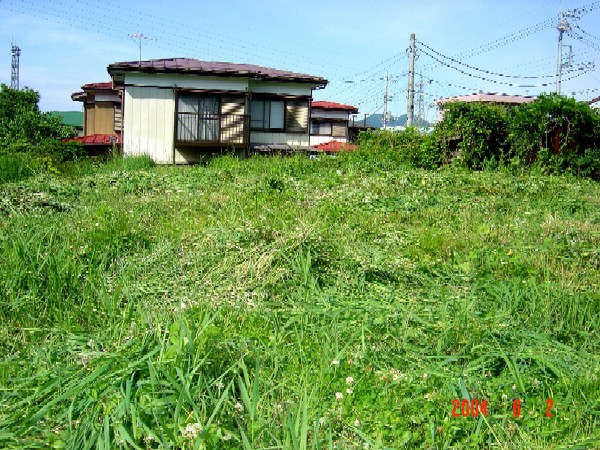 a0005691_154837.jpg