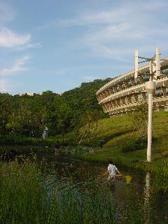 a0003150_202013.jpg