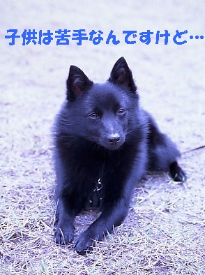 a0009750_121322.jpg