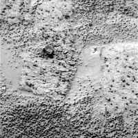 a0011290_222628.jpg