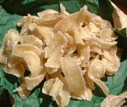 a0011999_14011.jpg