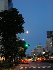 a0013134_18509.jpg