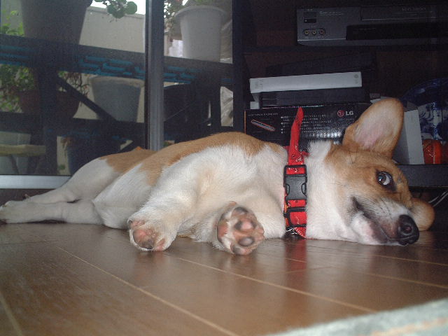 a0024004_103221.jpg