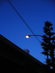a0013134_12217.jpg