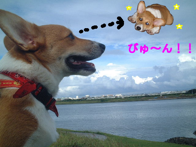 a0024004_12458.jpg
