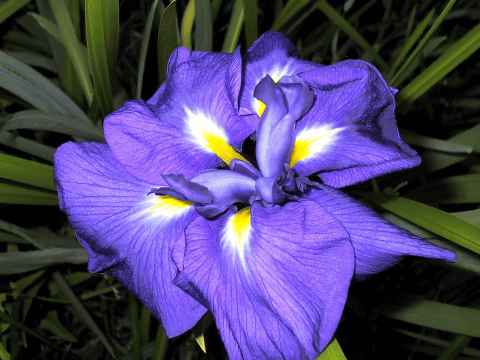 a0006605_223325.jpg