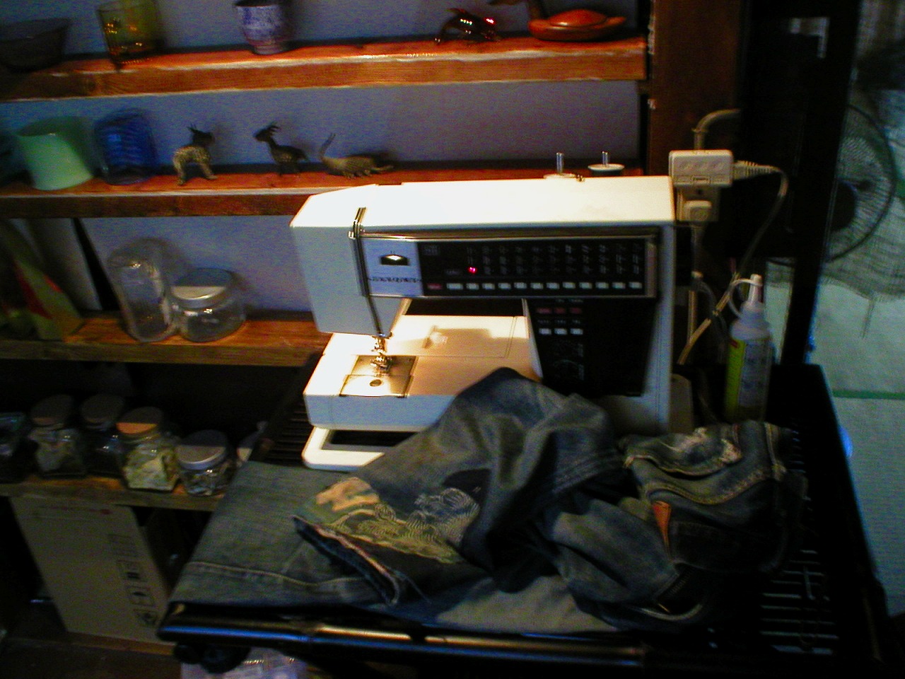 a0017161_05329.jpg