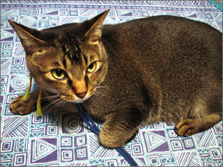 a0009835_23323.jpg