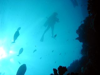 a0019117_3439.jpg