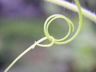a0016829_2367.jpg