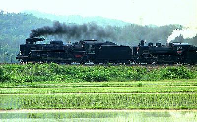 a0024312_25531.jpg