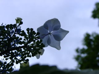 a0009747_222745.jpg