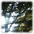 a0011190_191838.jpg