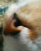a0024005_222417.jpg