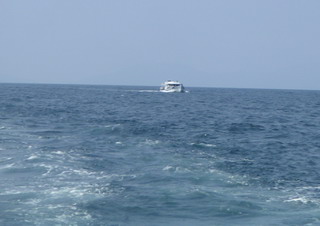 a0002177_212121.jpg