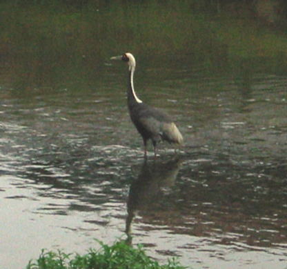 a0015815_214428.jpg
