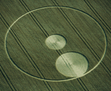 a0011290_22357.gif