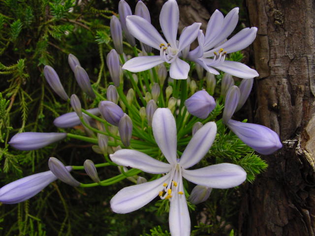 a0031000_22341.jpg