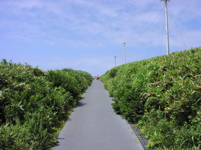 a0031718_215746.jpg