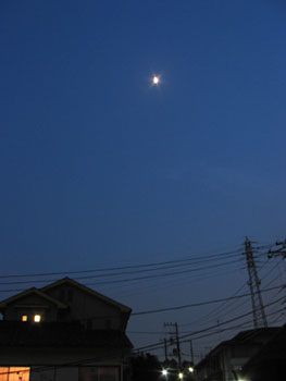 a0001756_35314.jpg