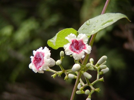 a0009600_154517.jpg
