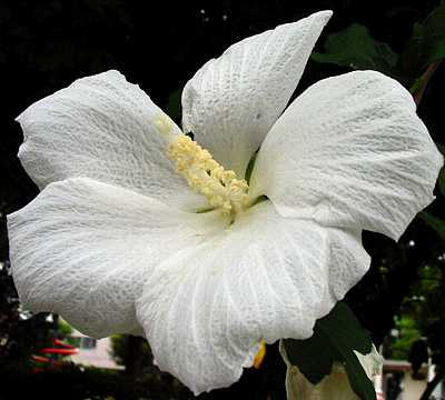 a0031000_23400.jpg