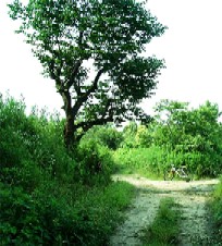 a0020212_24011.jpg
