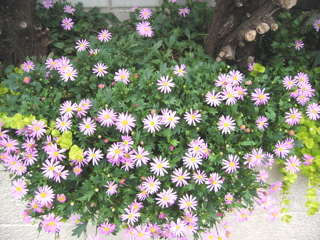 a0027280_20244.jpg
