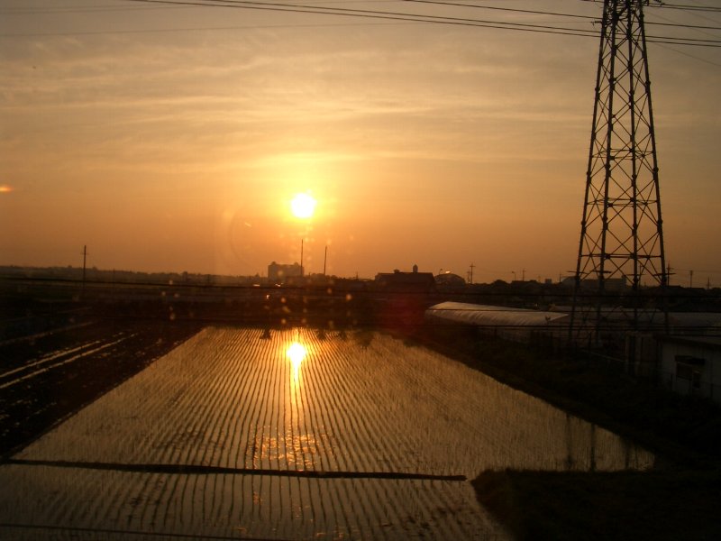 a0028731_05450.jpg