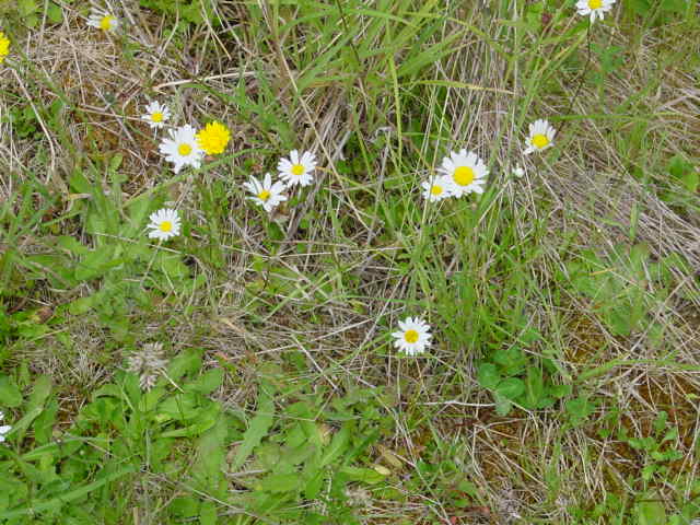 a0025847_11135.jpg