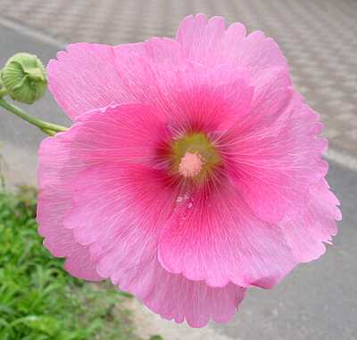a0031000_22302.jpg