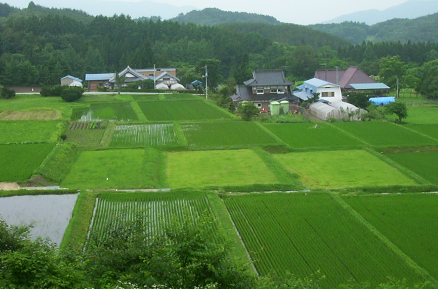 a0029157_11234.jpg